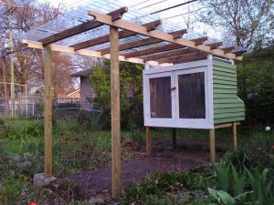 Coop with attached pergola