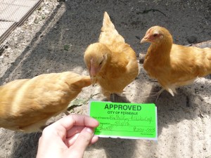 if it's in my hands, it might be food, right?