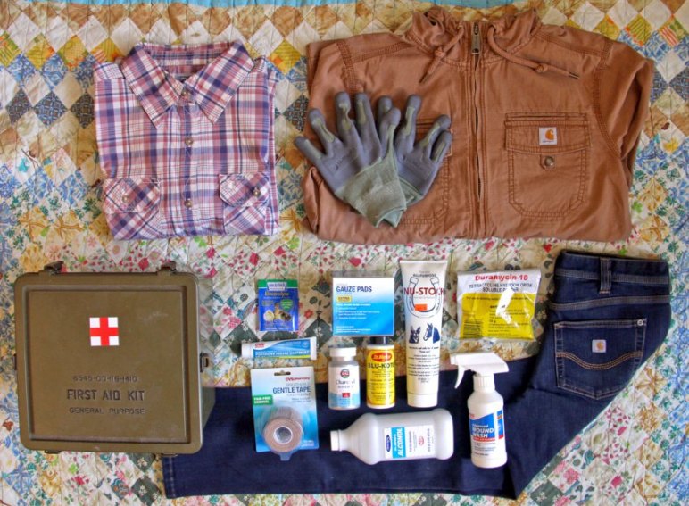 chicken first aid kit