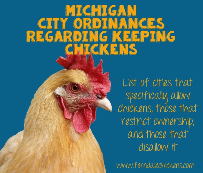 michigan-cities-that-allow-chickens