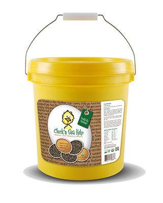 sea-kelp-supplement-for-chickens