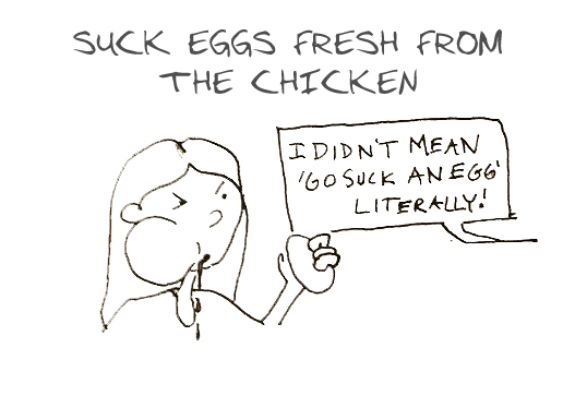 CDC-EXPLAINS-HOW-TO-GET-SALMONELLA-FROM-BACKYARD-CHICKENS