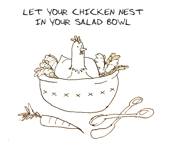 HOW-TO-GET-SALMONELLA-FROM-BACKYARD-CHICKENS-CDC