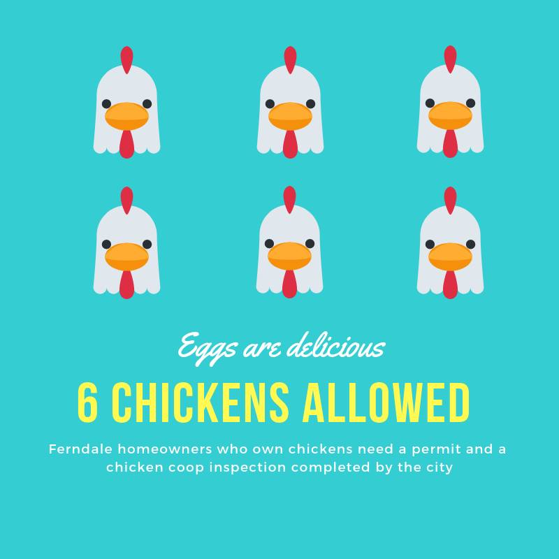 6-chickens-ferndale